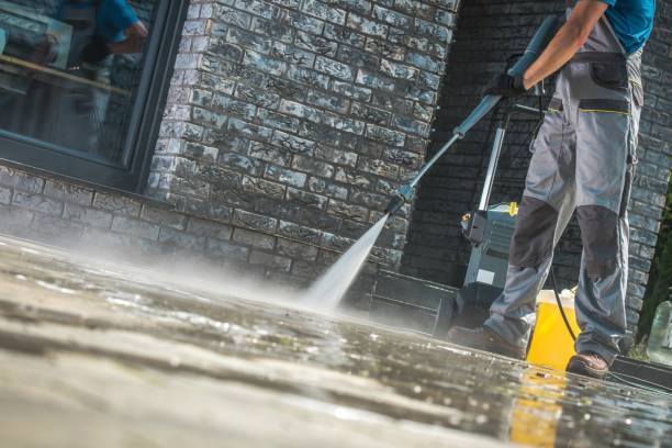 Best Driveway Pressure Washing  in Lapel, IN